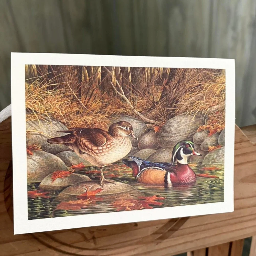 Duck card